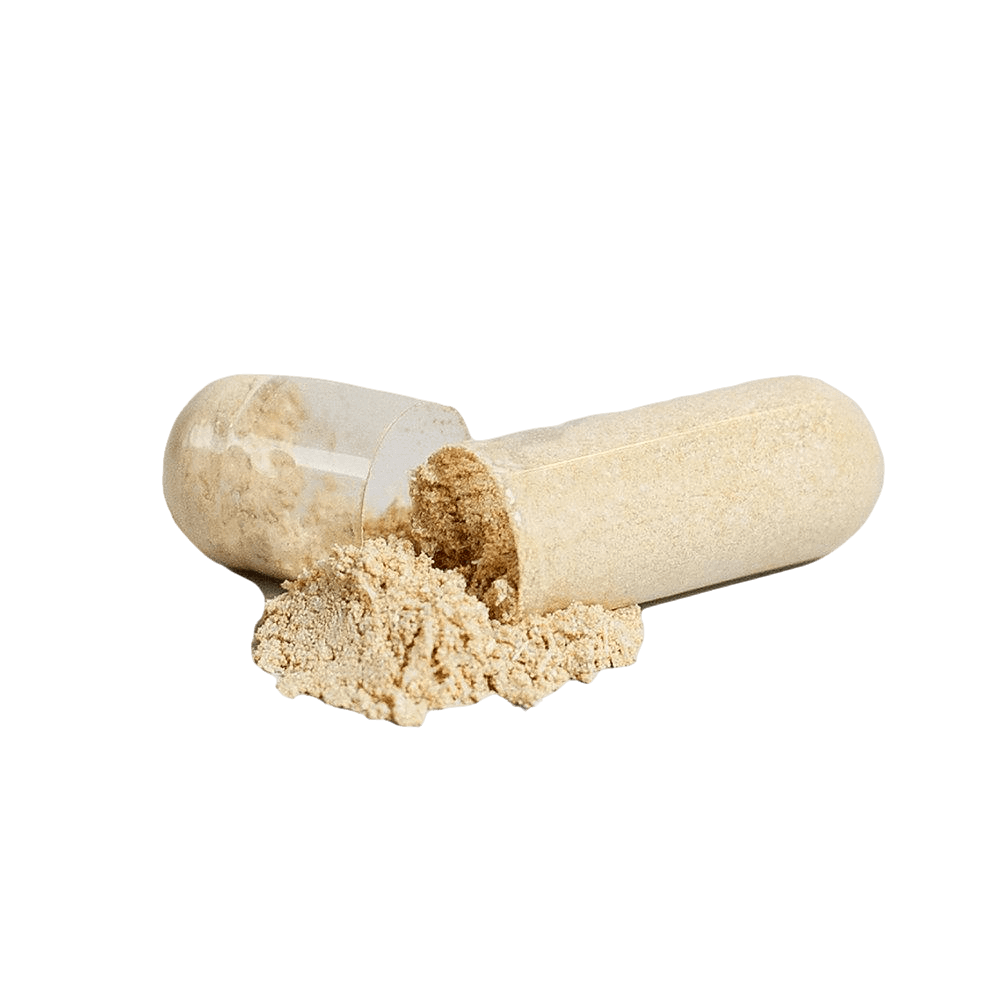 AshwaPower Plus