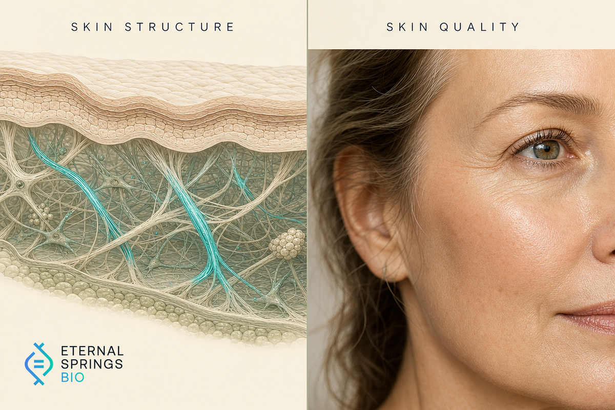 Collagen Supplements Loose Skin Reality Check