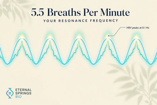 Resonance Breathing Hero Infographic showing breathing pattern at 5.5 breaths per minute synchronizing with heart rate variability to maximize coherence at 0.1 Hz, set on a cream background by Eternal Springs Bio