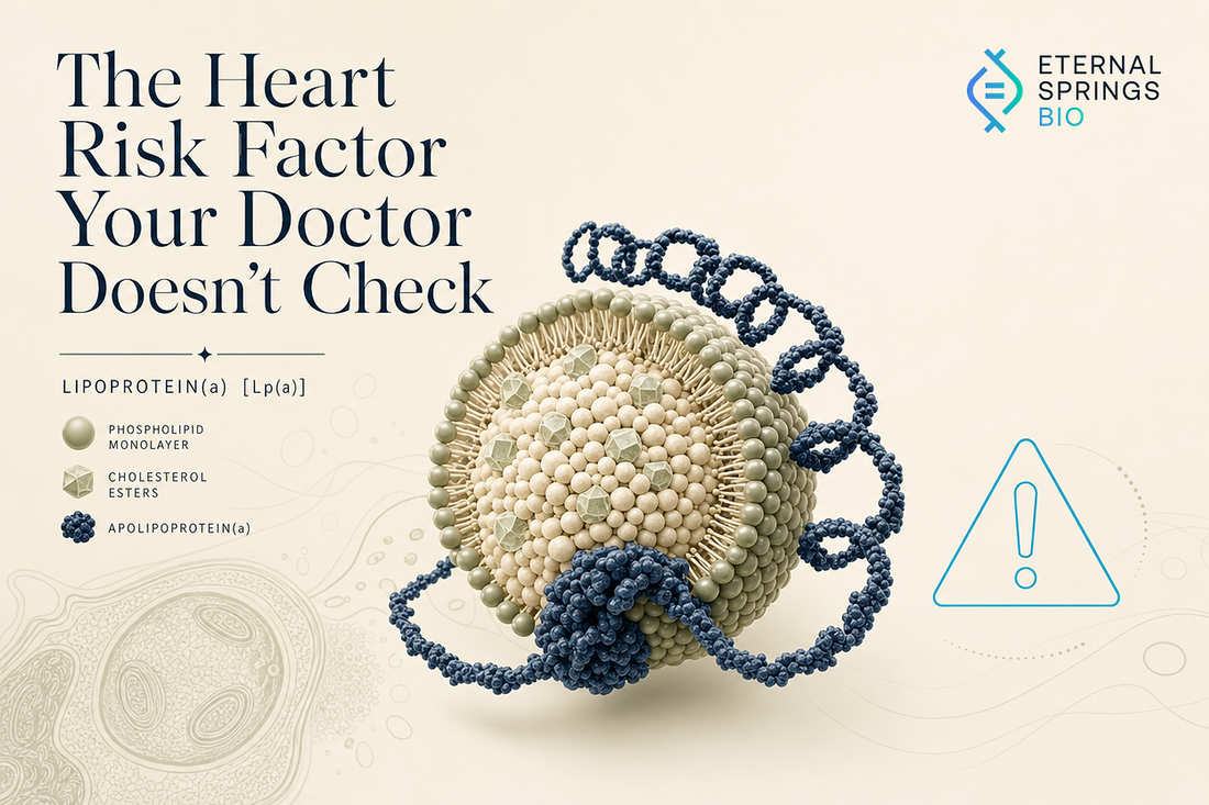 Lp A The Cardiovascular Risk Factor Your Doctor Probably Never Tested
