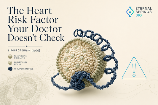 Lp A The Cardiovascular Risk Factor Your Doctor Probably Never Tested