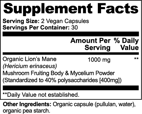 SynaptIQ Vitality