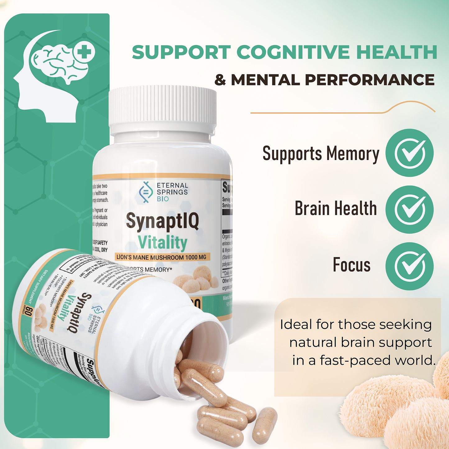 SynaptIQ Vitality