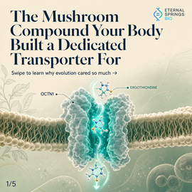 Ergothioneine transporter science