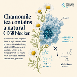 Chamomile apigenin CD38 and NAD+